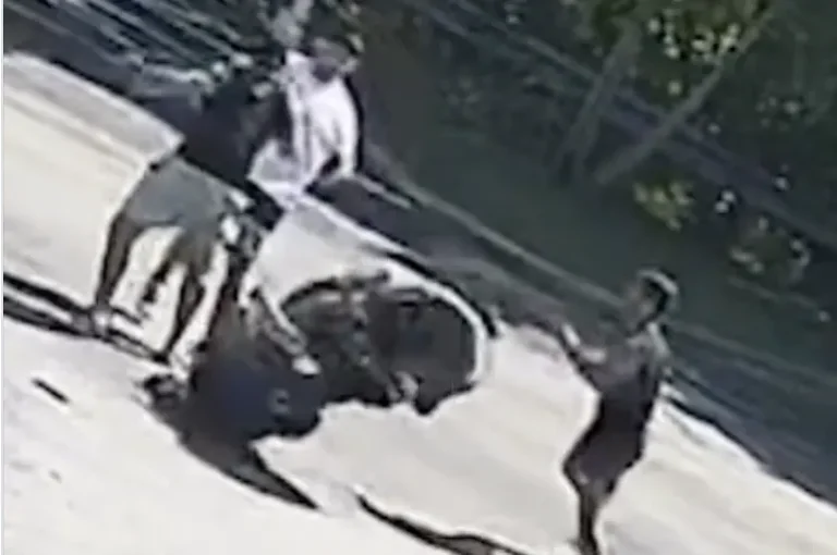Pitbull brothers post footage of brawl that cancelled fight, claim Karate Combat ‘trying to manipulate’ narrative