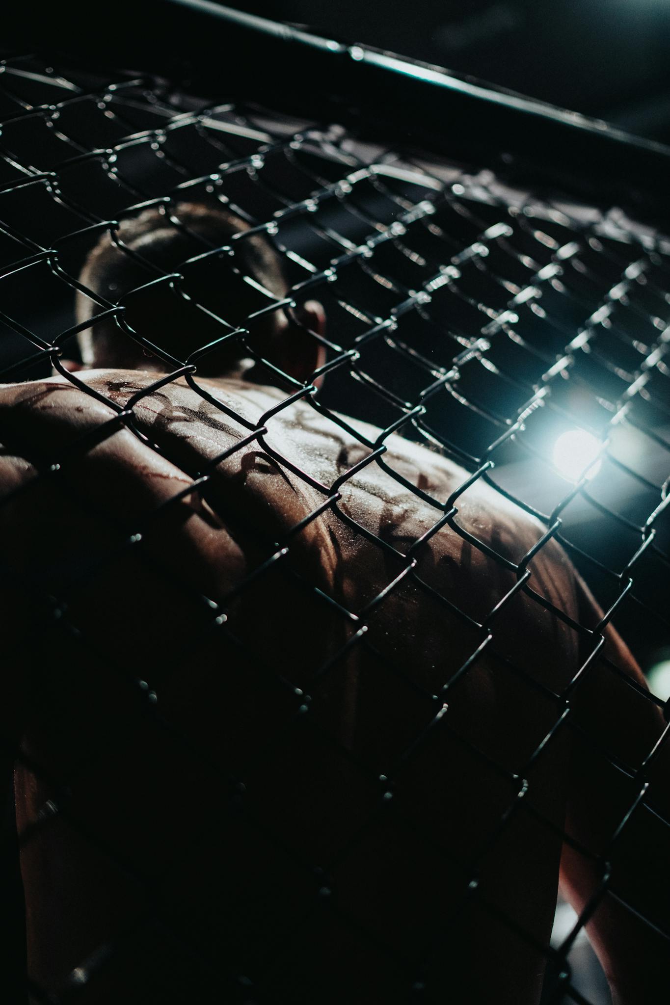 Moody shot of a muscular MMA fighter seen through the cage at night, Vienna.